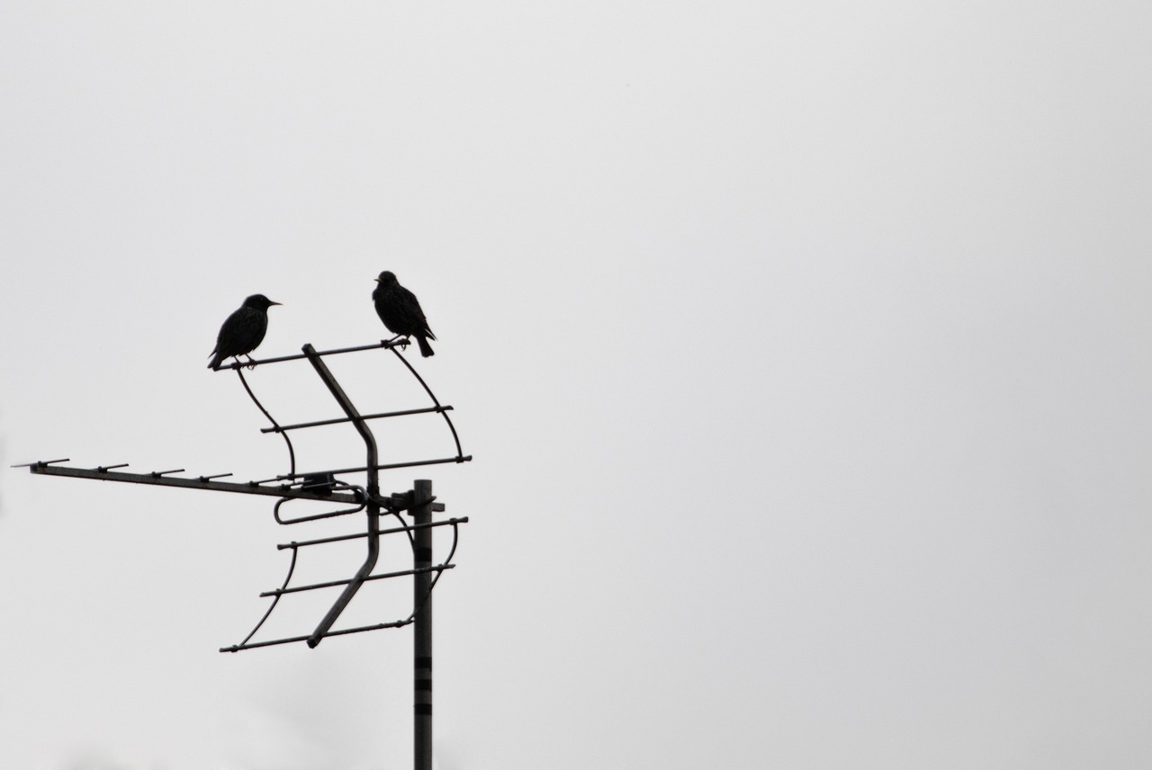omnidirectional tv antenna